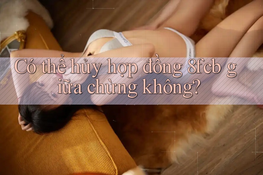 Có thể hủy hợp đồng 8fcb giữa chừng không? Có thể hủy hợp đồng 8fcb giữa chừng không?