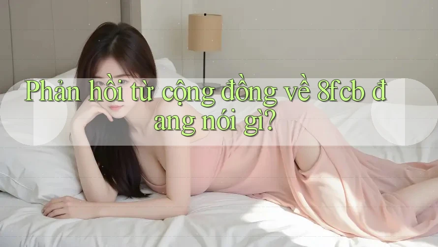 Phản hồi từ cộng đồng về 8fcb đang nói gì?